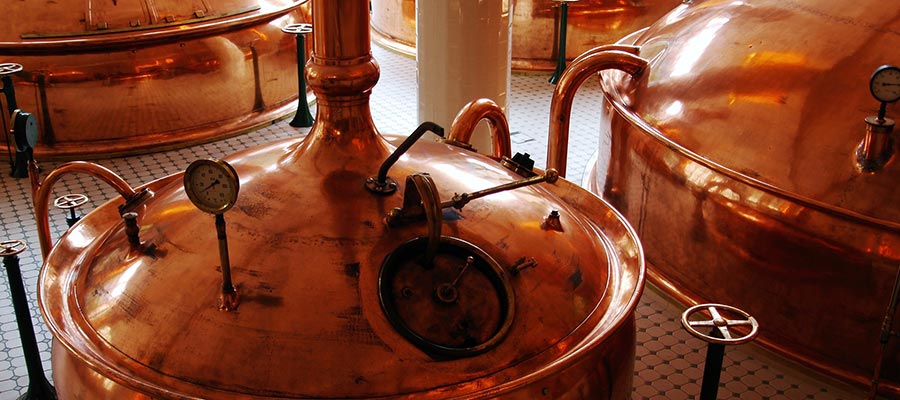 Brewing is craftsmanship, science and art": Interview about the Certificate  Program "Brauer Cursus Weihenstephan" - TUM Executive & Professional  Education